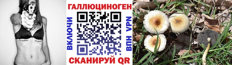 Галлюциногенные грибы Magic Shrooms  mega ТОР  Большой Камень 